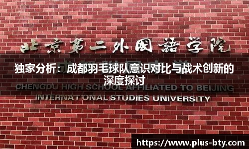 独家分析：成都羽毛球队意识对比与战术创新的深度探讨